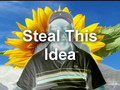 Steal This Idea - Share Some Make Money Online Karma