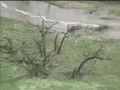 adel iowa tornado damage