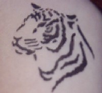 a tiger tattoo