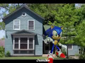 Megaman and Sonic Blue Brothas
