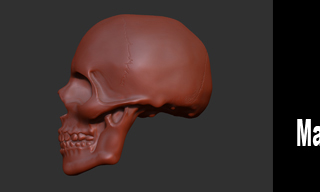 Lesson 2 in Zbrush fixed