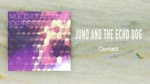 Contact - Juno and the Echo Dog