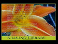 A Living Library on NENtv