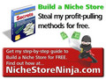 Build Niche Sites and Make Lazy Money with Build a Niche Store