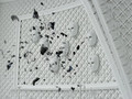 [CAHEOBEO] Hyolee - Isa Knox revolution 15s.800x600-katarina.avi