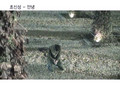 [MV] Cho Shin Sung - Annyoung(Goodbye) [k-pop worldwide].wmv