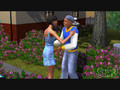the sims 3 