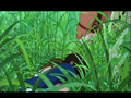 Princess Mononoke - Story