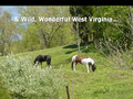 Wild Wonderful West Virginia