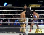 Liu Xiangming vs Mike Bu