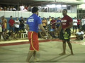 Gabriel Gonzaga vs Andrezao