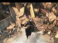 Final Fantasy VII - Dethroned
