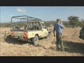 NATURE | The Cheetah Orphans | Rabid Cheetah Attack | PBS  