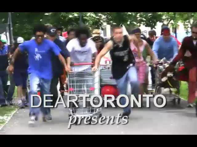 Dear Toronto #17 - Idiotarod