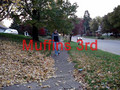 Muffins 3rd