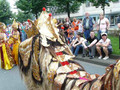 Bielefeld Culture Carnival 2008