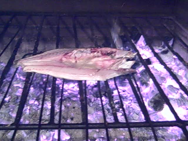 Portuguese fish grilled in La Ciagle restaurant Algarve