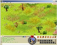DOFUS - Harvesting Flax