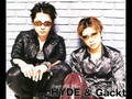 Gackt and HYDE
