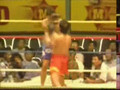 Awesome Muay Thai Highlight Video