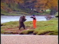 Man fights a Bear