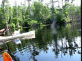 Okeefenokee with Tom and Pete 1