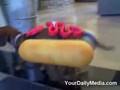 Living Hotdog!