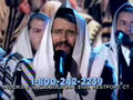 Chabad Telathon