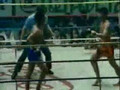 Spinning Elbow KO in Muay Thai Fight