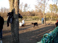 Orange County NY Dog Park Big Dogs