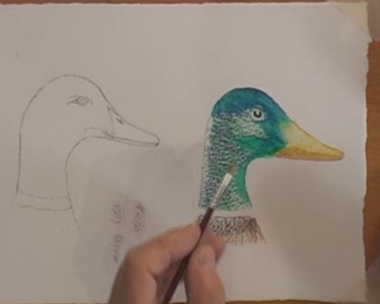 Watercolor Pencils -Part 2