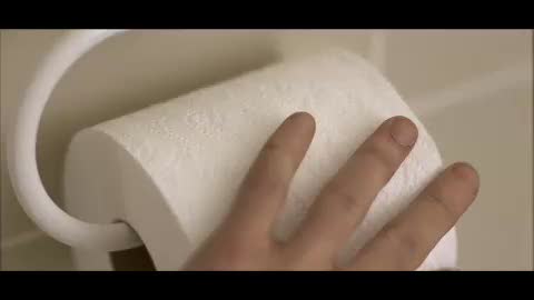 Sorbent Homecoming Toilet paper