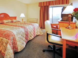 Comfort Inn and Suites, Denver, Co