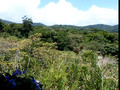 View At The Butterfly Garden, Monte Verde, Costa Rica