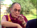 Dalai Lama kills a mosquito