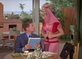 dream of jeannie