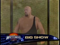 Floyd Money Mayweather vs Big Show at Wrestlemania 24