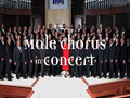 Male Chorus in Concert