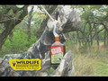 Golden Estrus comercial with Haley Heath and Keith Warren - Deer Hunting