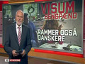 Kritik af danske visum-regler
