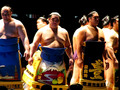 sumo ring entering 2