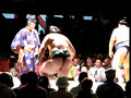 sumo Kotooshu match