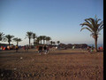 Playa de Percheles (post-party) @ Electromar Festival 2008