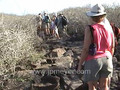 Galapagos Islands travel: Red billed birds and other cool wildlife 