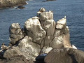 Galapagos Islands travel: Birds, boobies, frigates, nests, baby boobie and a blowhole. 