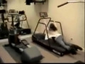 Girl Wipes Out on Treadmill