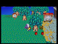 Animal Crossing City Folk Gameplay Footage