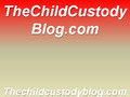 The Child Custody Blog - What Is It?