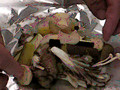 秋野菜とホタテのホイル焼き