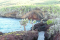 Galapagos Islands travel: Kathy's slideshow of Rabida (Jervis) 